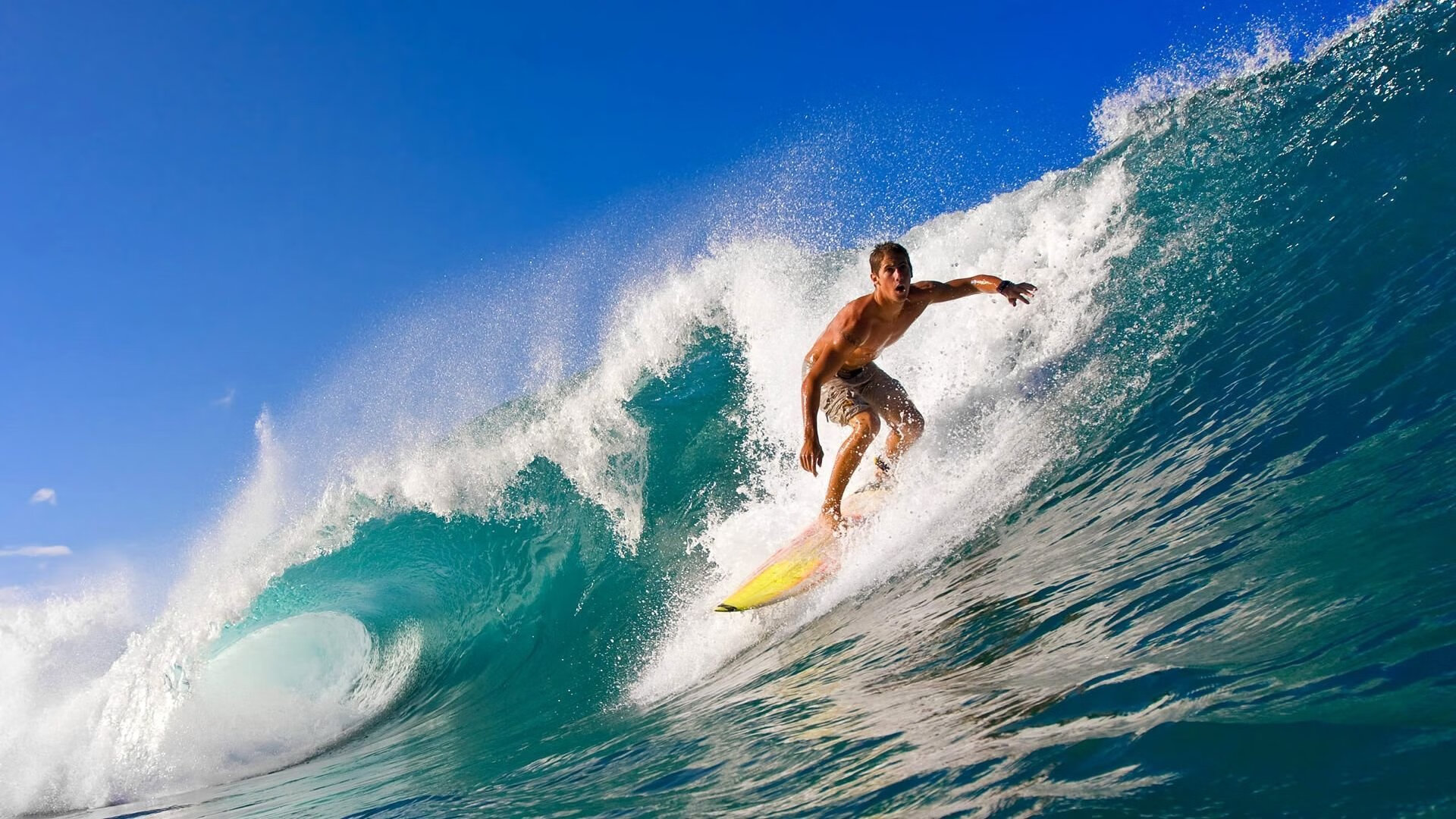 乐鱼注册-免费畅滑+半价优惠！安图长白山和平滑雪场正式开板，长白山和平滑雪场开放时间